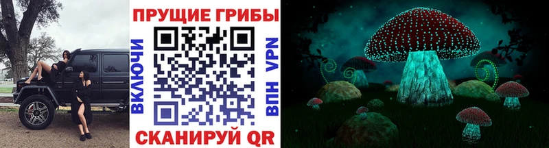 кракен маркетплейс  Минеральные Воды  Галлюциногенные грибы GOLDEN TEACHER 
